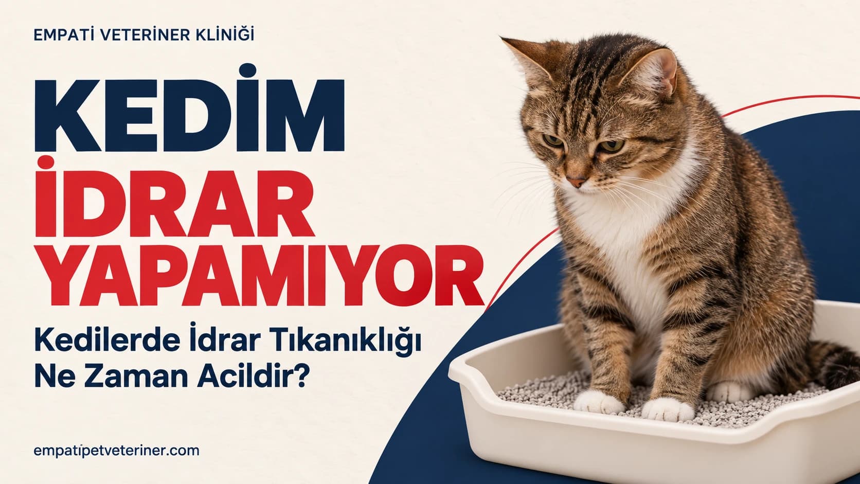 Kedim İdrar Yapamıyor: Kedilerde İdrar Tıkanıklığı Ne Zaman Acildir?