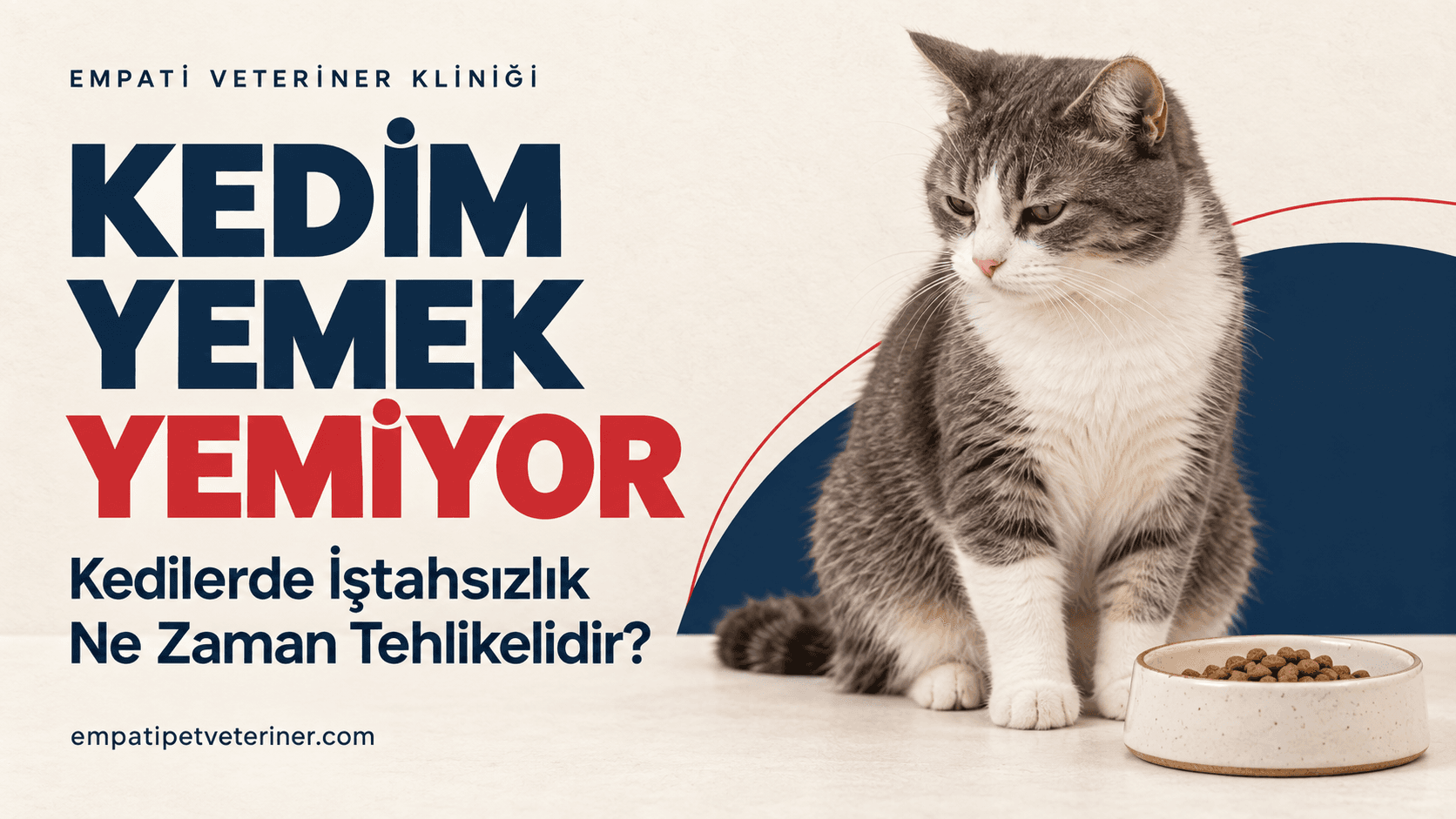 Kedim Yemek Yemiyor: Kedilerde İştahsızlık Ne Zaman Tehlikelidir?