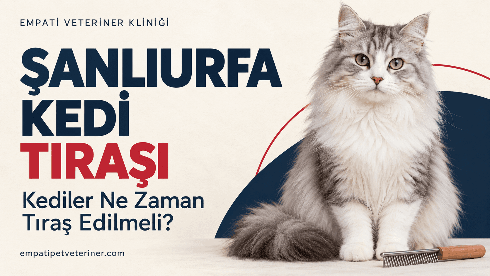 # Şanlıurfa Kedi Tıraşı: Kediler Ne Zaman Tıraş Edilmeli?