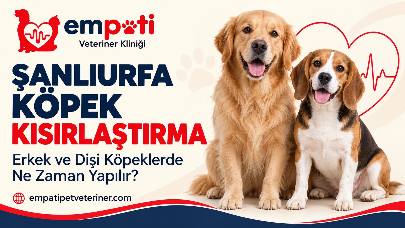 Şanlıurfa Köpek Kısırlaştırma: Erkek ve Dişi Köpeklerde Ne Zaman Yapılır?
