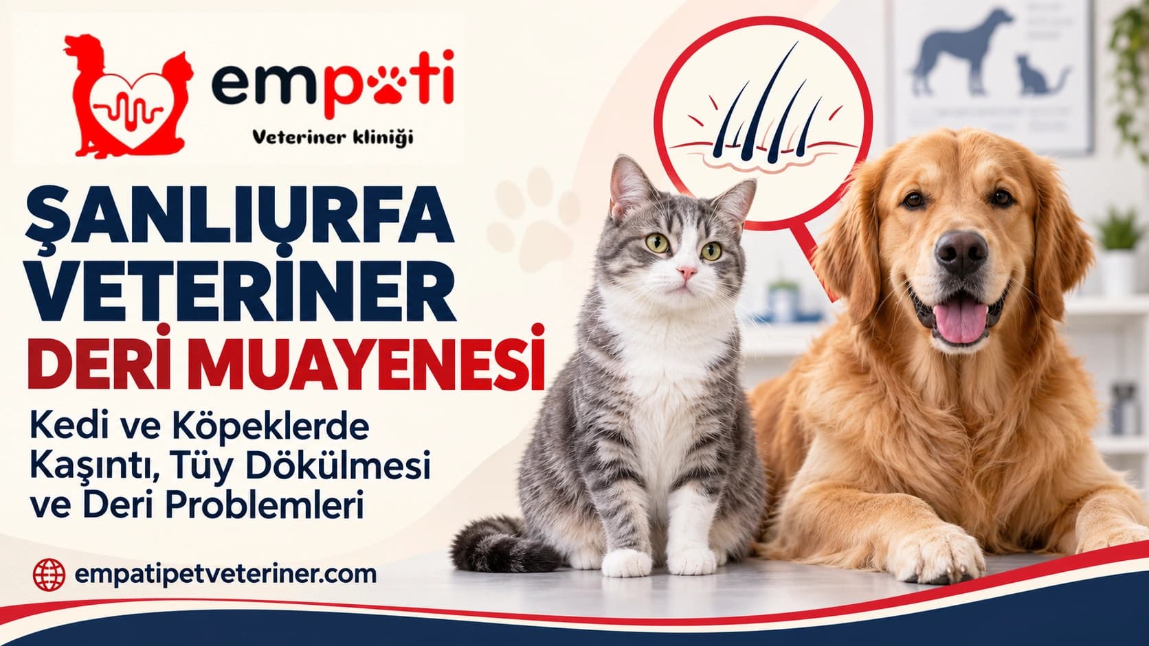 Şanlıurfa Veteriner Deri Muayenesi: Kedi ve Köpeklerde Kaşıntı, Tüy Dökülmesi ve Deri Problemleri