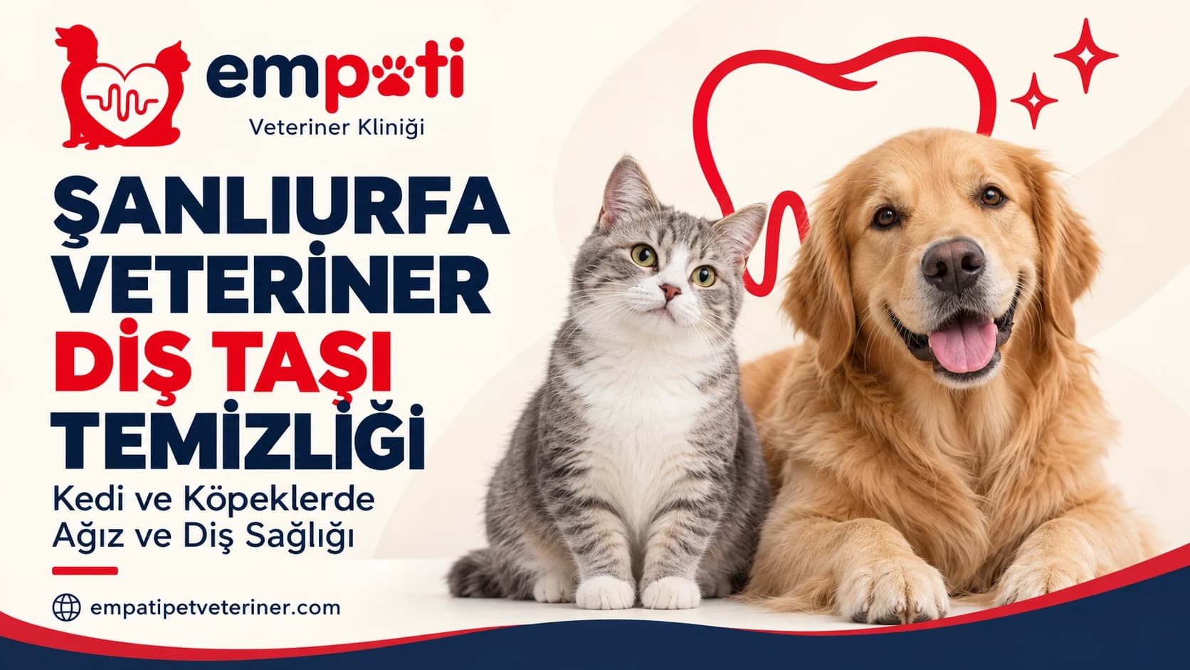 Şanlıurfa Veteriner Diş Taşı Temizliği: Kedi ve Köpeklerde Ağız ve Diş Sağlığı