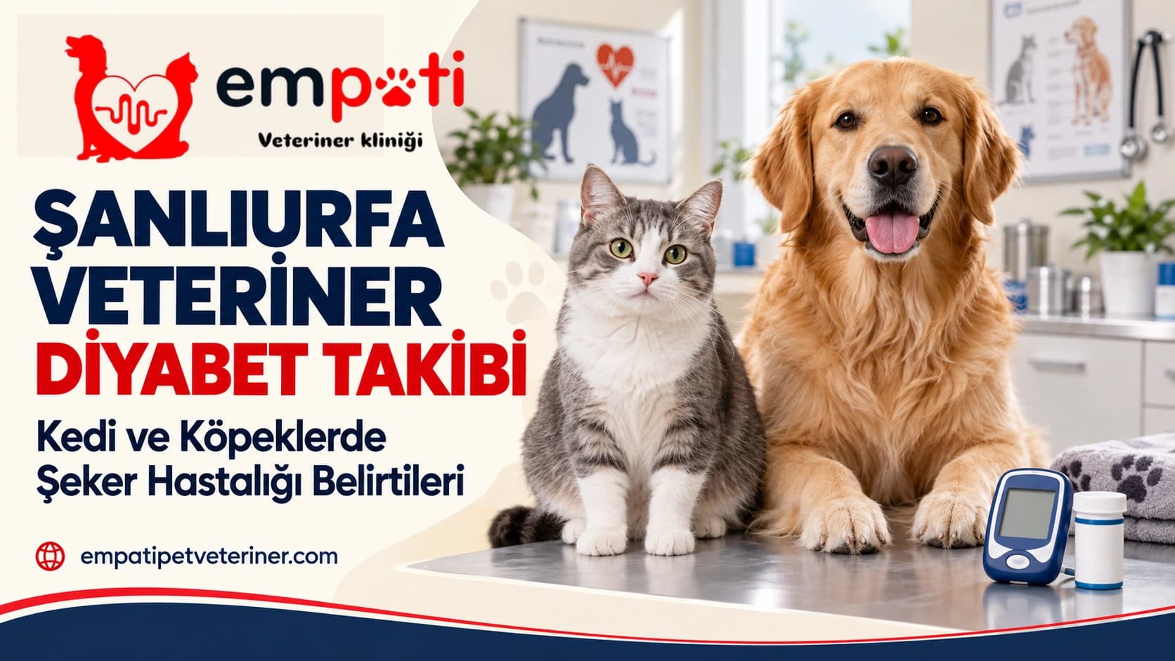 Şanlıurfa Veteriner Diyabet Takibi: Kedi ve Köpeklerde Şeker Hastalığı Belirtileri