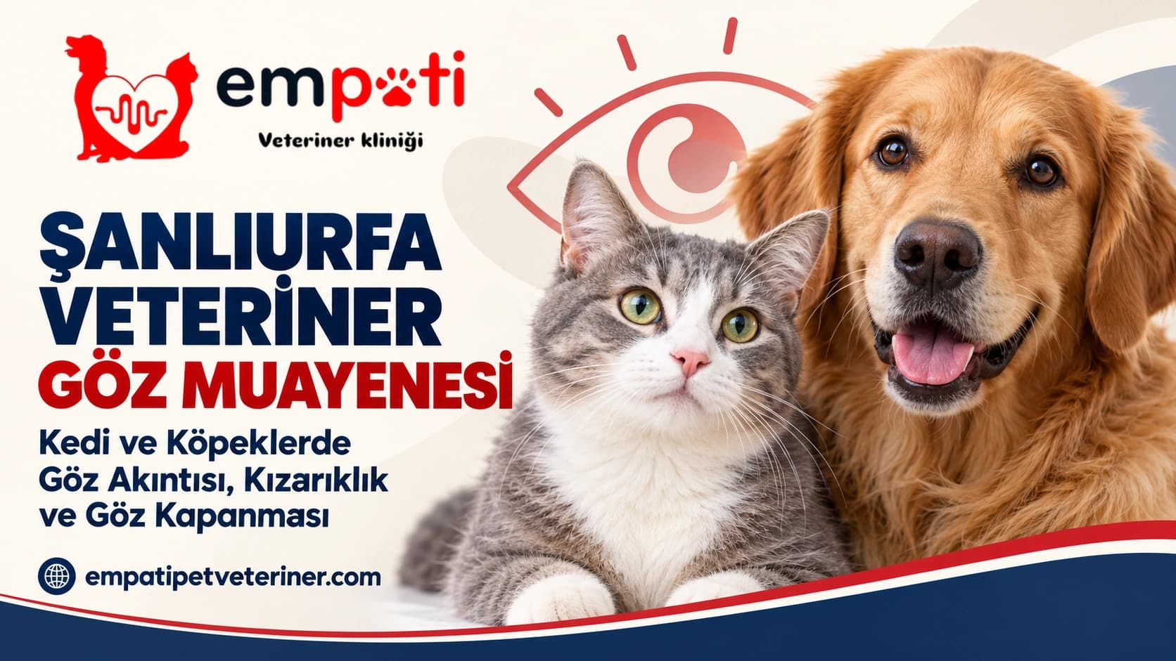 Şanlıurfa Veteriner Göz Muayenesi: Kedi ve Köpeklerde Göz Akıntısı, Kızarıklık ve Göz Kapanması