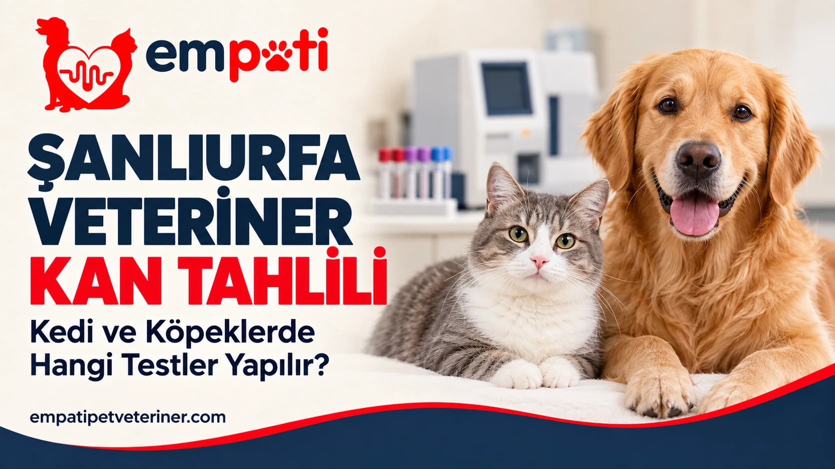 Şanlıurfa Veteriner Kan Tahlili: Kedi ve Köpeklerde Hangi Testler Yapılır?