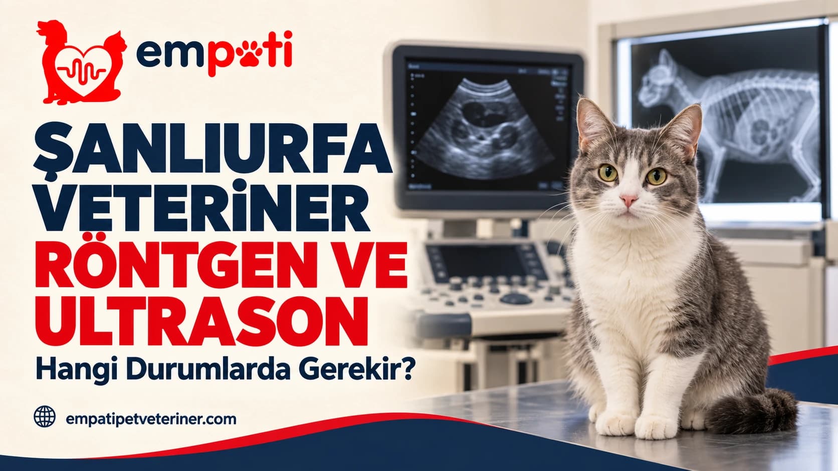 Şanlıurfa Veteriner Röntgen ve Ultrason: Hangi Durumlarda Gerekir?