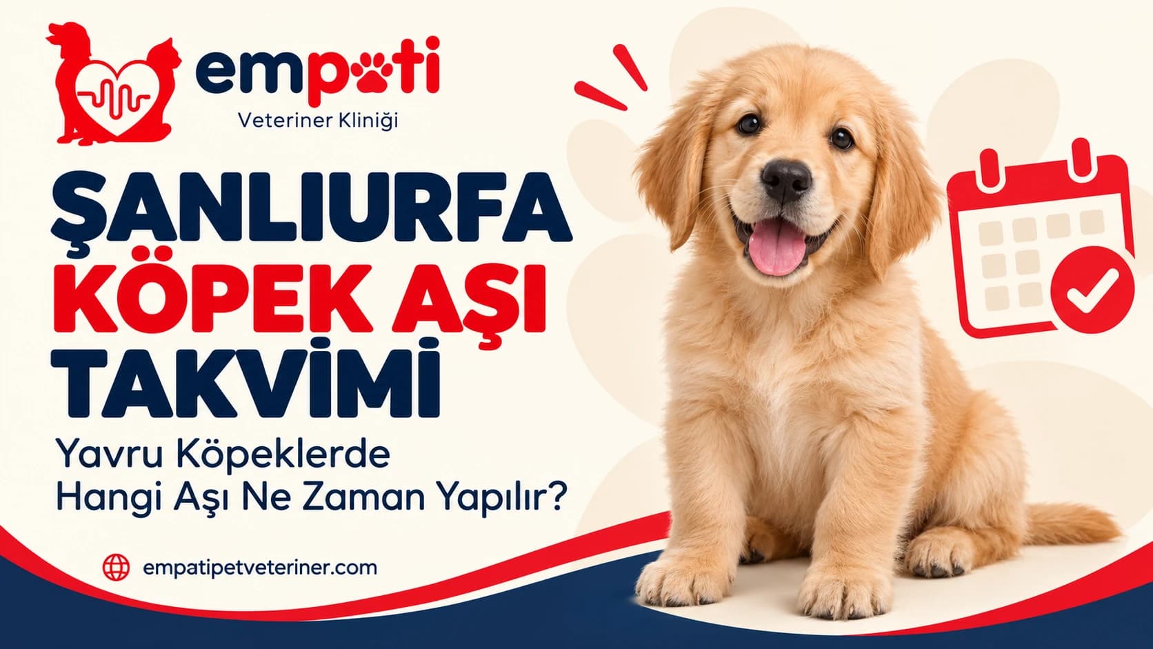 Şanlıurfa Köpek Aşı Takvimi: Yavru Köpeklerde Hangi Aşı Ne Zaman Yapılır?
