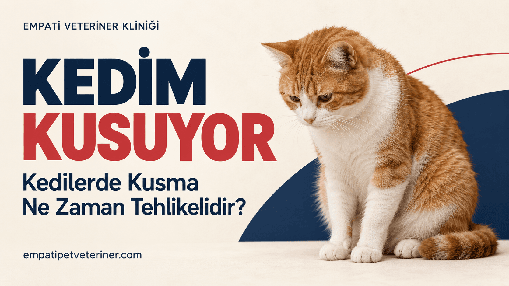 Kedim Kusuyor: Kedilerde Kusma Ne Zaman Tehlikelidir?