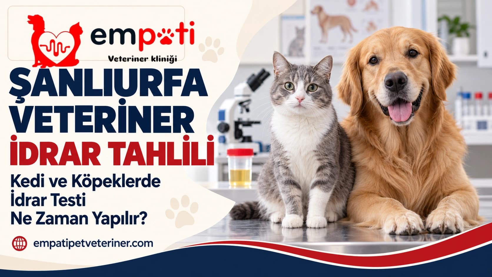 Şanlıurfa Veteriner İdrar Tahlili: Kedi ve Köpeklerde İdrar Testi Ne Zaman Yapılır?