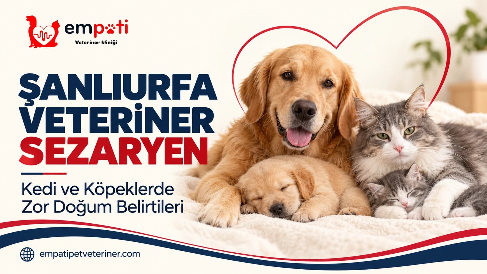 Şanlıurfa Veteriner Sezaryen: Kedi ve Köpeklerde Zor Doğum Belirtileri