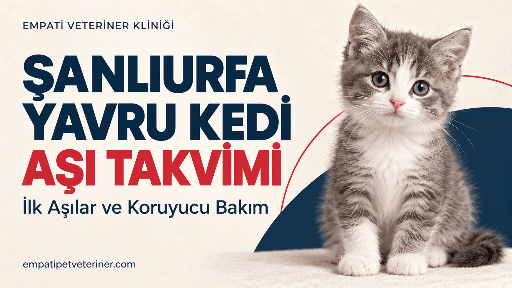 Şanlıurfa Yavru Kedi Aşı Takvimi: İlk Aşı Ne Zaman Yapılır?
